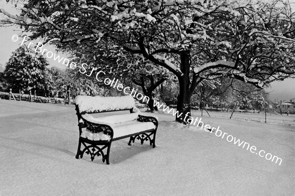 RATHFARNHAM CASTLE GROUNDS IN THE SNOW